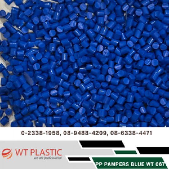 PP PAMPERS BLUE WT 067